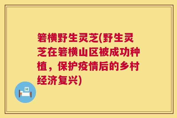 箬横野生灵芝(野生灵芝在箬横山区被成功种植,保护疫情后的乡村经济复兴) 箬横野生灵芝(野生灵芝在箬横山区被成功种植,保护疫情后的乡村经济复兴)