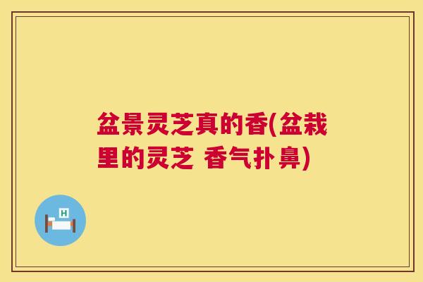 盆景灵芝真的香(盆栽里的灵芝 香气扑鼻) 盆景灵芝真的香(盆栽里的灵芝 香气扑鼻)