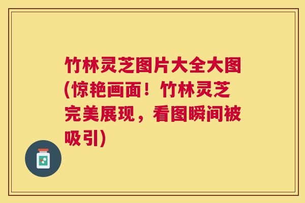 竹林灵芝图片大全大图(惊艳画面!竹林灵芝完美展现,看图瞬间被吸引) 竹林灵芝图片大全大图(惊艳画面!竹林灵芝完美展现,看图瞬间被吸引)
