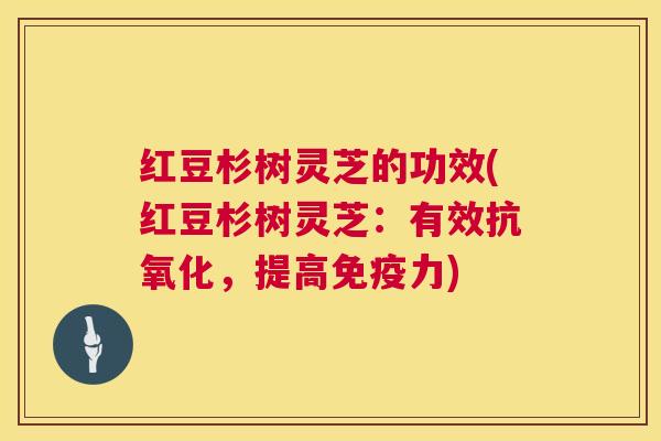 红豆杉树灵芝的功效(红豆杉树灵芝:有效,提高免疫力) 红豆杉树灵芝的功效(红豆杉树灵芝:有效,提高免疫力)