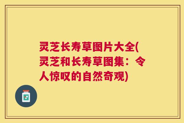 灵芝长寿草图片大全(灵芝和长寿草图集:令人惊叹的自然奇观) 灵芝长寿草图片大全(灵芝和长寿草图集:令人惊叹的自然奇观)