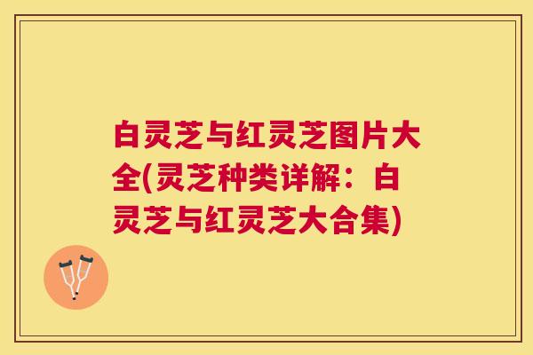 白灵芝与红灵芝图片大全(灵芝种类详解:白灵芝与红灵芝大合集) 白灵芝与红灵芝图片大全(灵芝种类详解:白灵芝与红灵芝大合集)