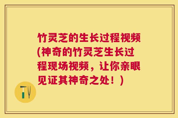 竹灵芝的生长过程视频(神奇的竹灵芝生长过程现场视频,让你亲眼见证其神奇之处!) 竹灵芝的生长过程视频(神奇的竹灵芝生长过程现场视频,让你亲眼见证其神奇之处!)