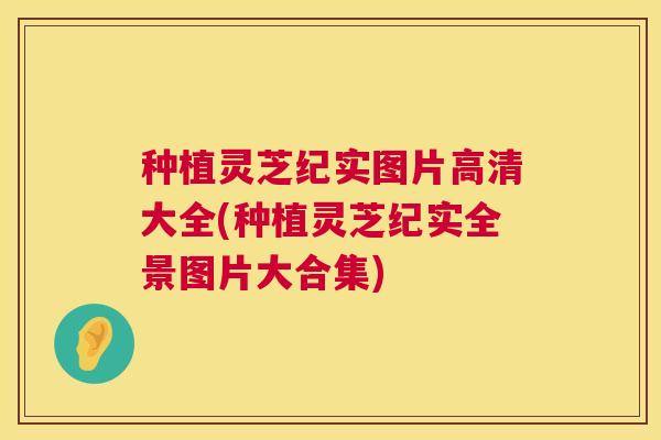 种植灵芝纪实图片高清大全(种植灵芝纪实全景图片大合集) 种植灵芝纪实图片高清大全(种植灵芝纪实全景图片大合集)