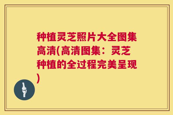 种植灵芝照片大全图集高清(高清图集:灵芝种植的全过程完美呈现) 种植灵芝照片大全图集高清(高清图集:灵芝种植的全过程完美呈现)