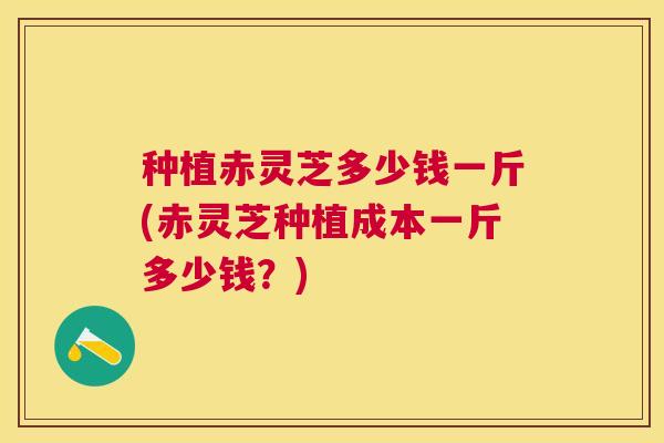 种植赤灵芝多少钱一斤(赤灵芝种植成本一斤多少钱?) 种植赤灵芝多少钱一斤(赤灵芝种植成本一斤多少钱?)