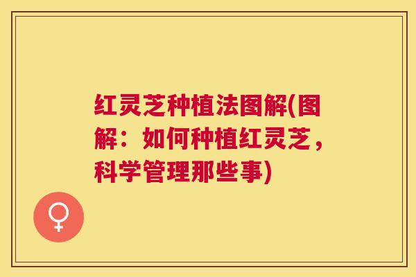 红灵芝种植法图解(图解:如何种植红灵芝,科学管理那些事) 红灵芝种植法图解(图解:如何种植红灵芝,科学管理那些事)