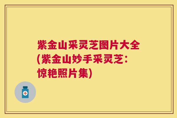 紫金山采灵芝图片大全(紫金山妙手采灵芝:惊艳照片集) 紫金山采灵芝图片大全(紫金山妙手采灵芝:惊艳照片集)