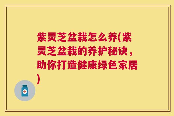 紫灵芝盆栽怎么养(紫灵芝盆栽的养护秘诀,助你打造健康绿色家居) 紫灵芝盆栽怎么养(紫灵芝盆栽的养护秘诀,助你打造健康绿色家居)