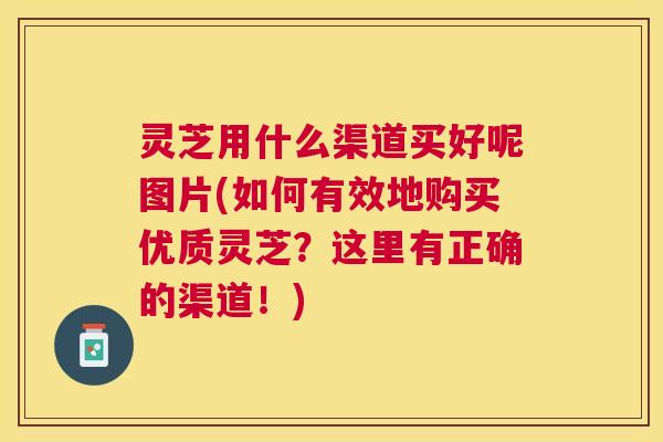 灵芝用什么渠道买好呢图片(如何有效地购买优质灵芝?这里有正确的渠道!) 灵芝用什么渠道买好呢图片(如何有效地购买优质灵芝?这里有正确的渠道!)