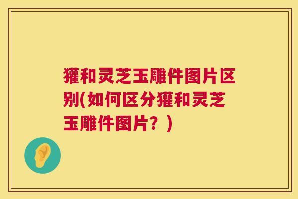 獾和灵芝玉雕件图片区别(如何区分獾和灵芝玉雕件图片?) 獾和灵芝玉雕件图片区别(如何区分獾和灵芝玉雕件图片?)