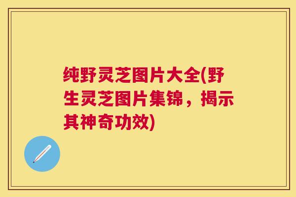 纯野灵芝图片大全(野生灵芝图片集锦,揭示其神奇功效) 纯野灵芝图片大全(野生灵芝图片集锦,揭示其神奇功效)