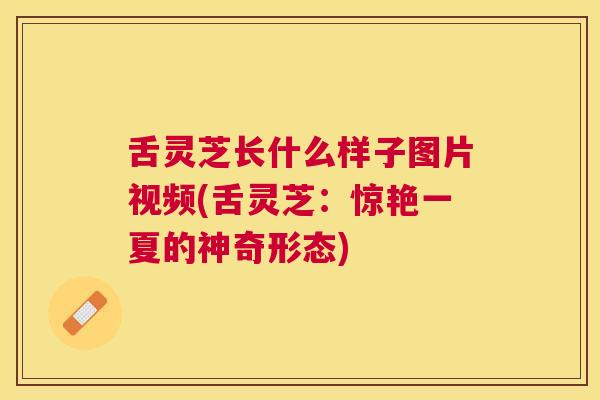舌灵芝长什么样子图片视频(舌灵芝:惊艳一夏的神奇形态) 舌灵芝长什么样子图片视频(舌灵芝:惊艳一夏的神奇形态)