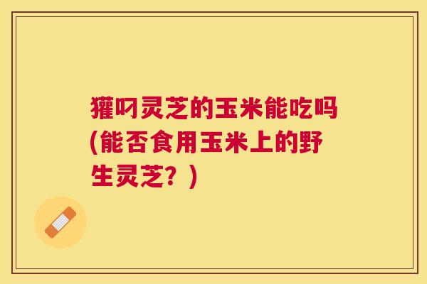 獾叼灵芝的玉米能吃吗(能否食用玉米上的野生灵芝?) 獾叼灵芝的玉米能吃吗(能否食用玉米上的野生灵芝?)