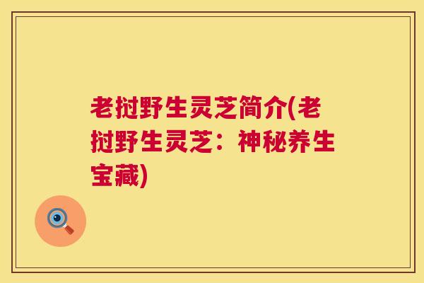 老挝野生灵芝简介(老挝野生灵芝:神秘养生宝藏) 老挝野生灵芝简介(老挝野生灵芝:神秘养生宝藏)