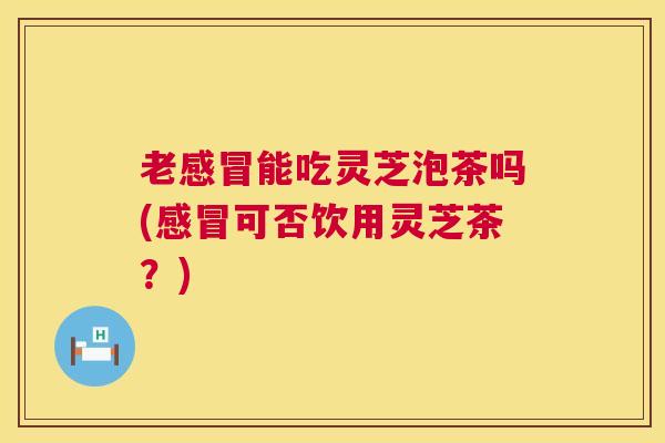 老能吃灵芝泡茶吗(可否饮用灵芝茶?) 老能吃灵芝泡茶吗(可否饮用灵芝茶?)