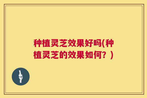 种植灵芝效果好吗(种植灵芝的效果如何?) 种植灵芝效果好吗(种植灵芝的效果如何?)