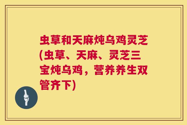 虫草和天麻炖乌鸡灵芝(虫草、天麻、灵芝三宝炖乌鸡,营养养生双管齐下) 虫草和天麻炖乌鸡灵芝(虫草、天麻、灵芝三宝炖乌鸡,营养养生双管齐下)