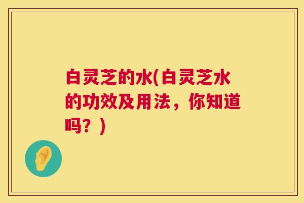白灵芝的水(白灵芝水的功效及用法,你知道吗?) 白灵芝的水(白灵芝水的功效及用法,你知道吗?)