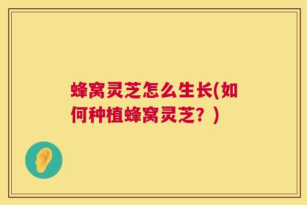 蜂窝灵芝怎么生长(如何种植蜂窝灵芝?) 蜂窝灵芝怎么生长(如何种植蜂窝灵芝?)