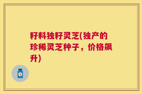 籽料独籽灵芝(独产的珍稀灵芝种子,价格飙升) 籽料独籽灵芝(独产的珍稀灵芝种子,价格飙升)
