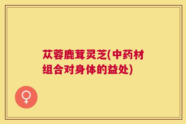 苁蓉鹿茸灵芝(材组合对身体的益处) 苁蓉鹿茸灵芝(材组合对身体的益处)