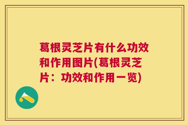 葛根灵芝片有什么功效和作用图片(葛根灵芝片:功效和作用一览) 葛根灵芝片有什么功效和作用图片(葛根灵芝片:功效和作用一览)