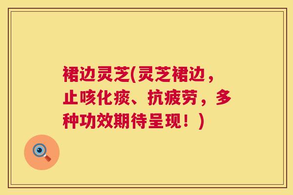 裙边灵芝(灵芝裙边,止咳化痰、,多种功效期待呈现!) 裙边灵芝(灵芝裙边,止咳化痰、,多种功效期待呈现!)