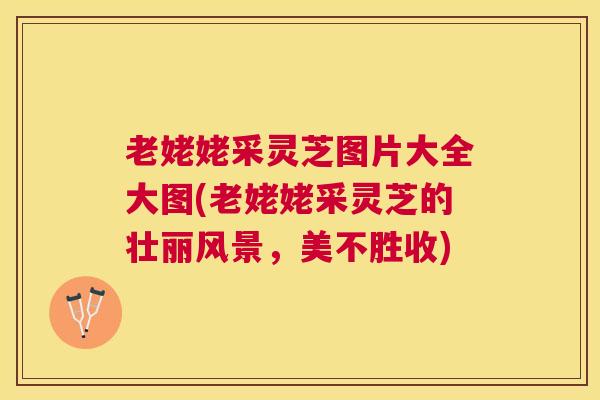 老姥姥采灵芝图片大全大图(老姥姥采灵芝的壮丽风景,美不胜收) 老姥姥采灵芝图片大全大图(老姥姥采灵芝的壮丽风景,美不胜收)