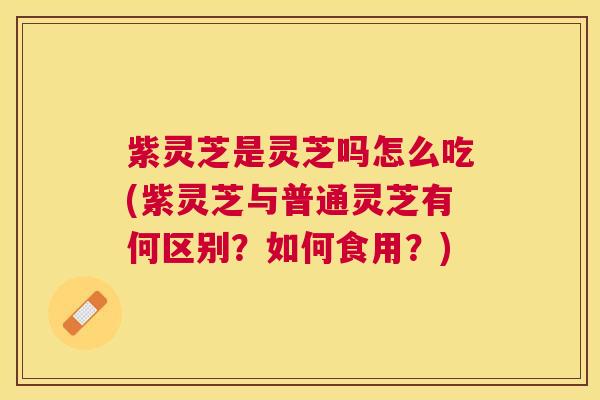 紫灵芝是灵芝吗怎么吃(紫灵芝与普通灵芝有何区别?如何食用?) 紫灵芝是灵芝吗怎么吃(紫灵芝与普通灵芝有何区别?如何食用?)