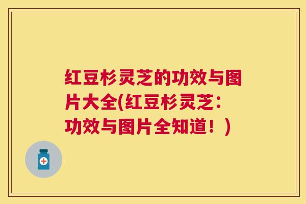 红豆杉灵芝的功效与图片大全(红豆杉灵芝:功效与图片全知道!) 红豆杉灵芝的功效与图片大全(红豆杉灵芝:功效与图片全知道!)