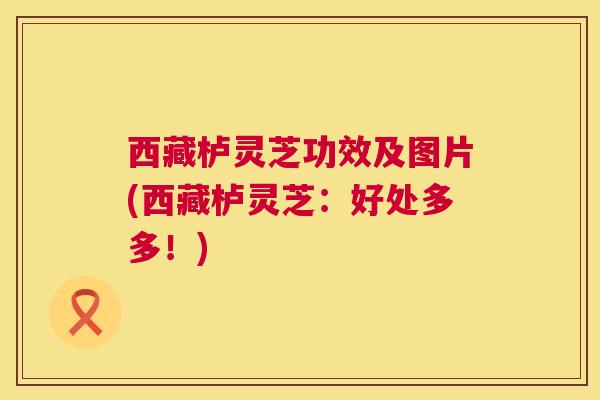 西藏栌灵芝功效及图片(西藏栌灵芝:好处多多!) 西藏栌灵芝功效及图片(西藏栌灵芝:好处多多!)