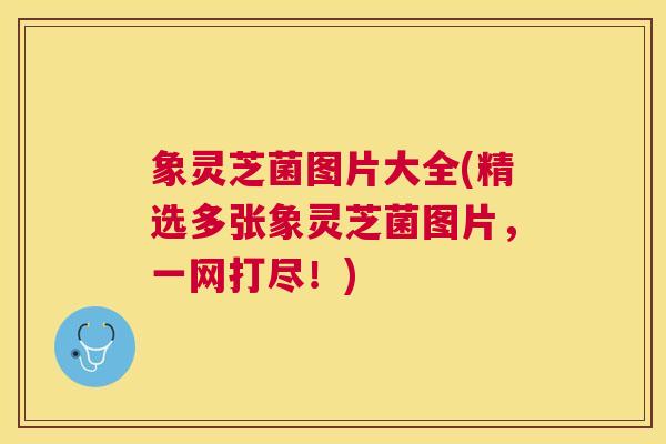 象灵芝菌图片大全(精选多张象灵芝菌图片,一网打尽!) 象灵芝菌图片大全(精选多张象灵芝菌图片,一网打尽!)