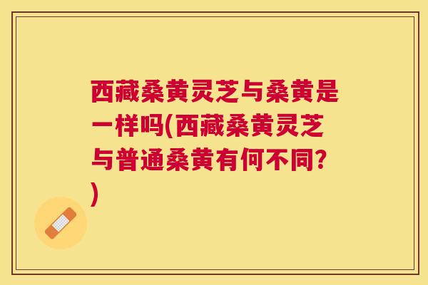 西藏桑黄灵芝与桑黄是一样吗(西藏桑黄灵芝与普通桑黄有何不同?) 西藏桑黄灵芝与桑黄是一样吗(西藏桑黄灵芝与普通桑黄有何不同?)