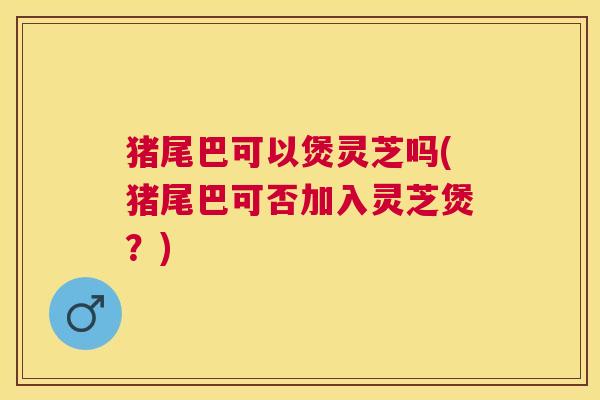 猪尾巴可以煲灵芝吗(猪尾巴可否加入灵芝煲?) 猪尾巴可以煲灵芝吗(猪尾巴可否加入灵芝煲?)
