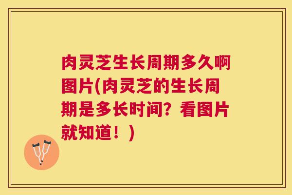肉灵芝生长周期多久啊图片(肉灵芝的生长周期是多长时间?看图片就知道!) 肉灵芝生长周期多久啊图片(肉灵芝的生长周期是多长时间?看图片就知道!)