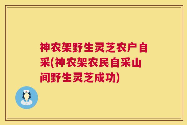 神农架野生灵芝农户自采(神农架农民自采山间野生灵芝成功) 神农架野生灵芝农户自采(神农架农民自采山间野生灵芝成功)