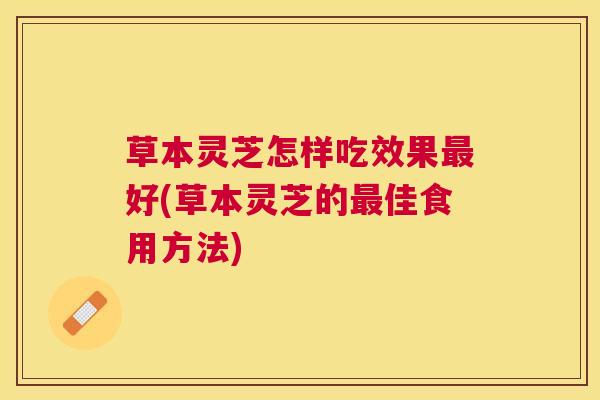 草本灵芝怎样吃效果好(草本灵芝的佳食用方法) 草本灵芝怎样吃效果好(草本灵芝的佳食用方法)