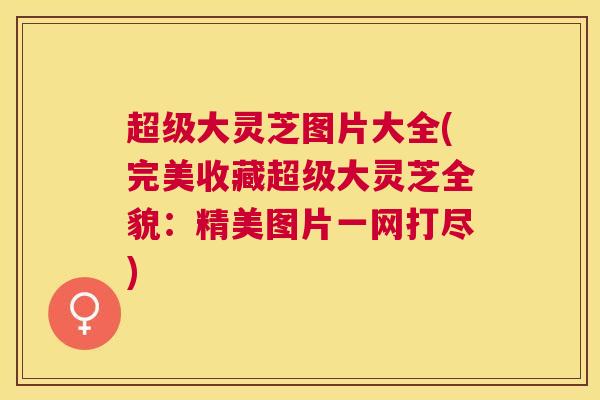 超级大灵芝图片大全(完美收藏超级大灵芝全貌:精美图片一网打尽) 超级大灵芝图片大全(完美收藏超级大灵芝全貌:精美图片一网打尽)