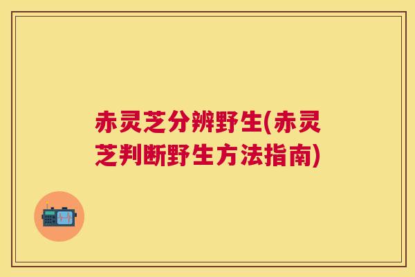 赤灵芝分辨野生(赤灵芝判断野生方法指南)
