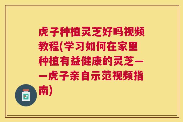 虎子种植灵芝好吗视频教程(学习如何在家里种植有益健康的灵芝——虎子亲自示范视频指南) 虎子种植灵芝好吗视频教程(学习如何在家里种植有益健康的灵芝——虎子亲自示范视频指南)