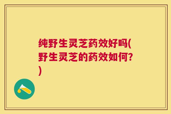 纯野生灵芝好吗(野生灵芝的如何？)