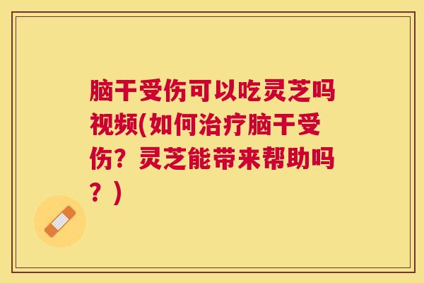 脑干受伤可以吃灵芝吗视频(如何脑干受伤?灵芝能带来帮助吗?) 脑干受伤可以吃灵芝吗视频(如何脑干受伤?灵芝能带来帮助吗?)