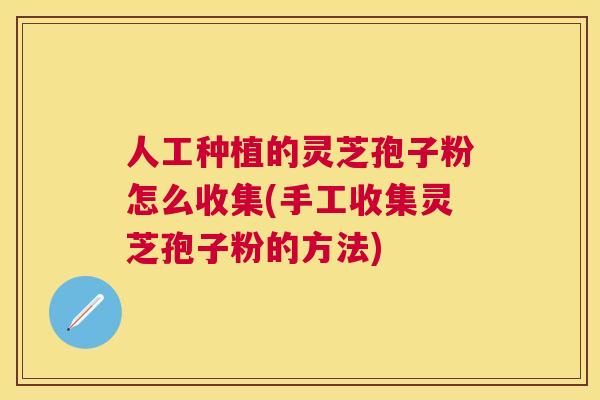 人工种植的灵芝孢子粉怎么收集(手工收集灵芝孢子粉的方法) 人工种植的灵芝孢子粉怎么收集(手工收集灵芝孢子粉的方法)