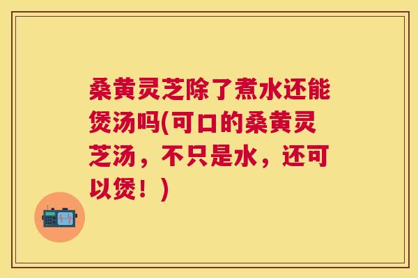 桑黄灵芝除了煮水还能煲汤吗(可口的桑黄灵芝汤,不只是水,还可以煲!) 桑黄灵芝除了煮水还能煲汤吗(可口的桑黄灵芝汤,不只是水,还可以煲!)