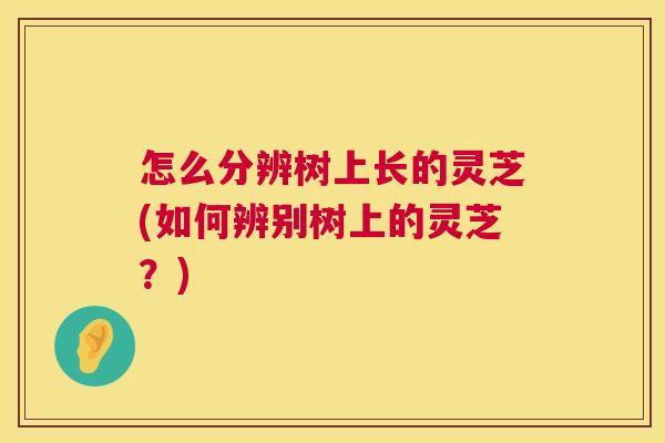 怎么分辨树上长的灵芝(如何辨别树上的灵芝？)
