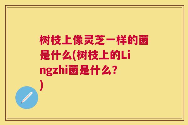 树枝上像灵芝一样的菌是什么(树枝上的Lingzhi菌是什么?) 树枝上像灵芝一样的菌是什么(树枝上的Lingzhi菌是什么?)