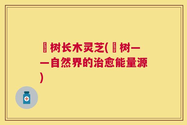 槡树长木灵芝(槡树——自然界的愈能量源) 槡树长木灵芝(槡树——自然界的愈能量源)