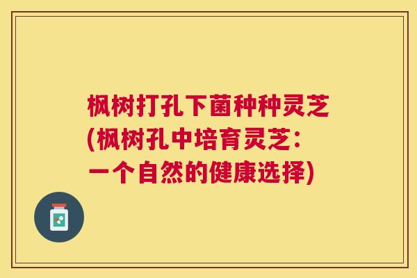 枫树打孔下菌种种灵芝(枫树孔中培育灵芝:一个自然的健康选择) 枫树打孔下菌种种灵芝(枫树孔中培育灵芝:一个自然的健康选择)