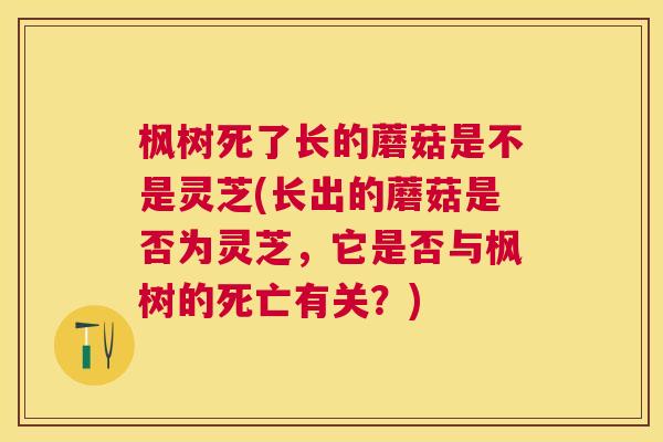 枫树死了长的蘑菇是不是灵芝(长出的蘑菇是否为灵芝,它是否与枫树的死亡有关?) 枫树死了长的蘑菇是不是灵芝(长出的蘑菇是否为灵芝,它是否与枫树的死亡有关?)